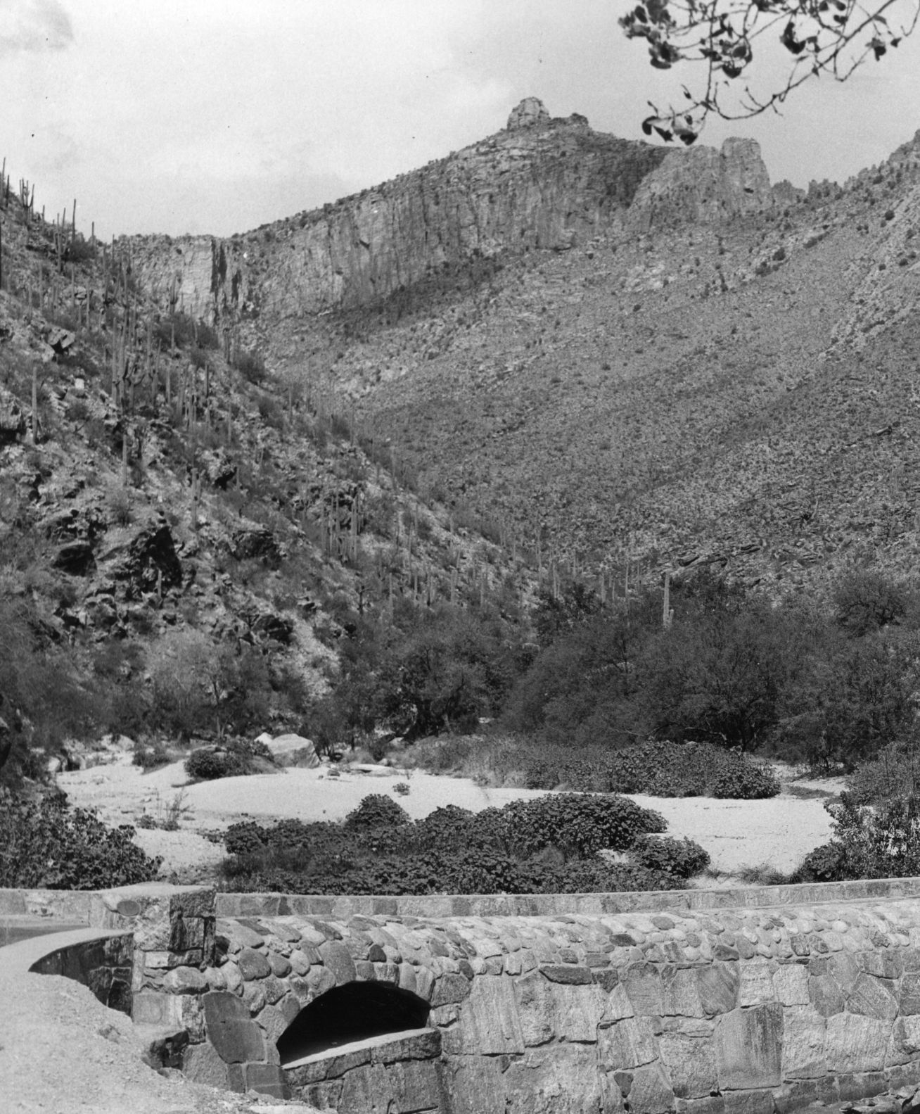 Sabino Canyon Recreation Area, Tucson